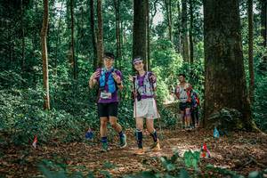 BIB: 
                            <button type="button" onclick="openModal(26135539)" class="btn btn-primary btn-sm float-right btn-popup" data-toggle="modal" data-target=".modal-high-quality">
                        <i class="fas fa-shopping-cart"></i> Add to Cart
                    </button>
                                            <button type="button" onclick="isThisMe(26135539, true)" class="btn btn-success btn-sm float-right btn-popup btn-isme hidden" data-toggle="tooltip" data-placement="bottom" title="นี่คือรูปของคุณใช่ไหม คลิกที่นี่เพื่อเอาเข้าอัลบั้ม">
                        <i class="fas fa-plus"></i> Add to album
                    </button>
                    <button type="button" onclick="isThisMe(26135539, false)" class="btn btn-warning btn-sm float-right btn-popup btn-isnotme hidden">
                        <i class="fas fa-ban"></i> Remove from album
                    </button>